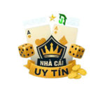nhacaiuytinshop2