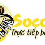 socolivecommx2