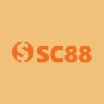 Vnsc886