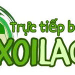 xoilacad