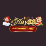 HAY88