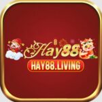 Hay88 living