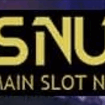 PPSNUSA Join Judi Slot Pragmatic Jamin Menang Kompetensi Indonesia