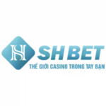 shbet800com22
