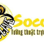 socolivein2