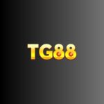 tg88linkcom